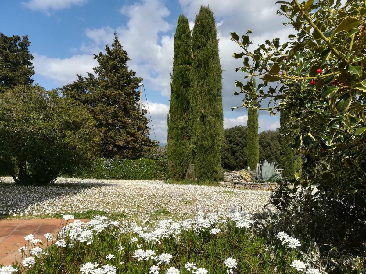 Agriturismo La Scarpaia Ангьяри Экстерьер фото