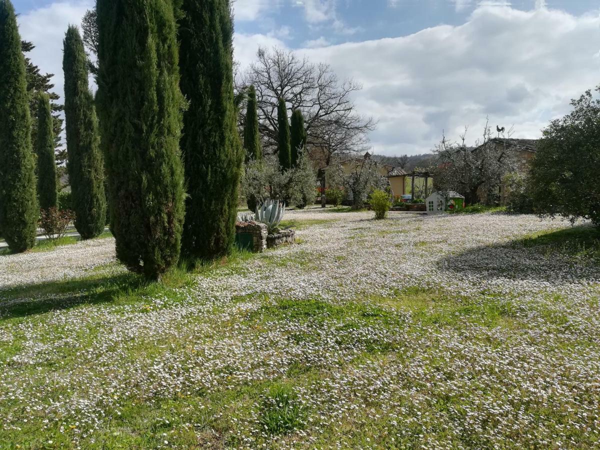 Agriturismo La Scarpaia Ангьяри Экстерьер фото